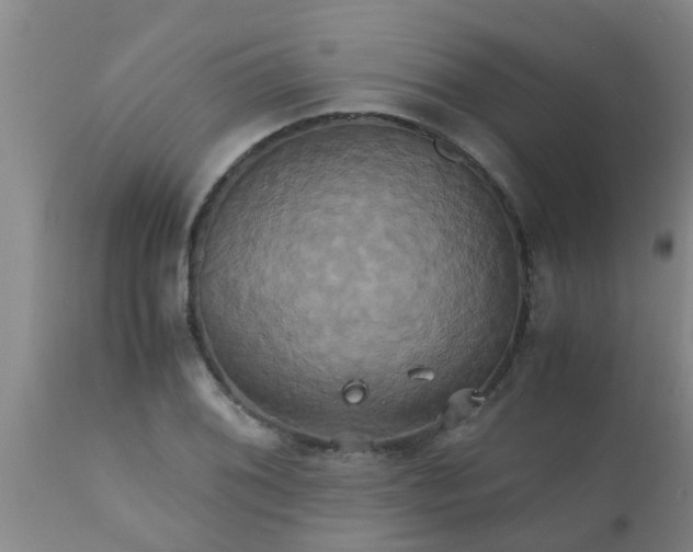 X0000110971076200907022239