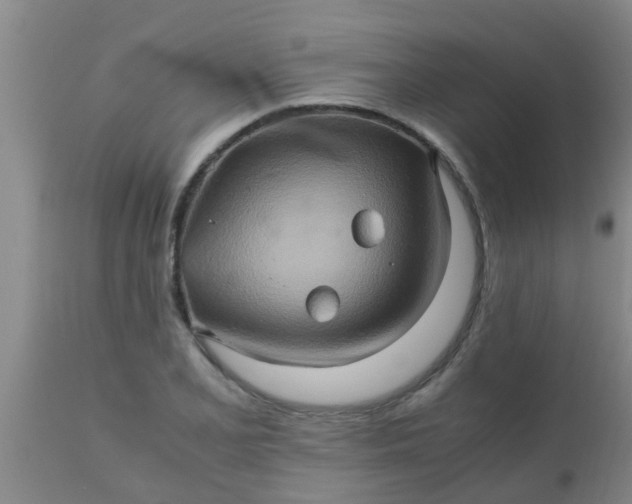 X0000110971077200907022239