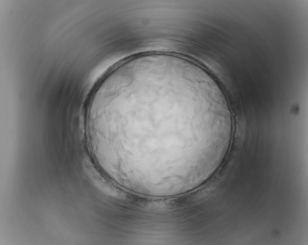 X0000110971078200907022239