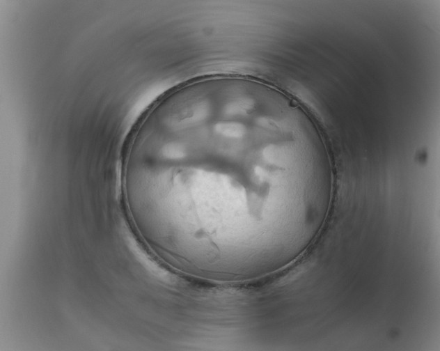 X0000110971079200907022239