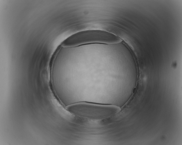 X0000110971080200907022239