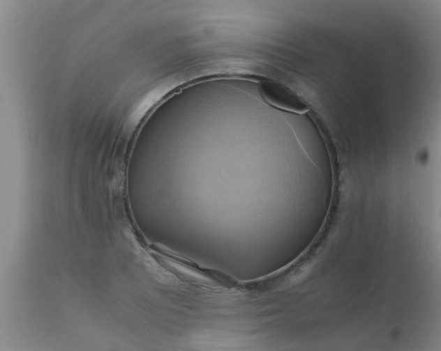 X0000110971081200907022239