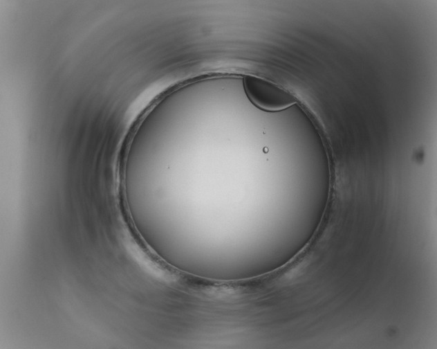 X0000110971082200907022239