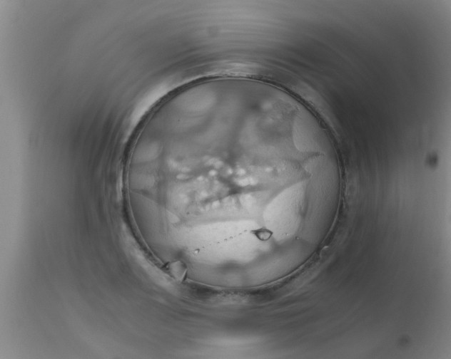 X0000110971083200907022239