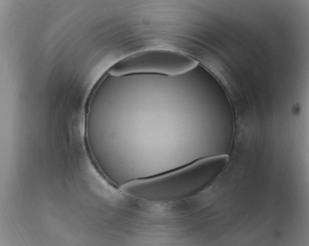 X0000110971084200907022239