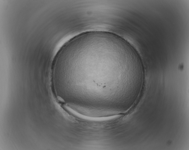 X0000110971085200907022239