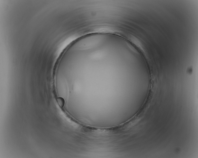 X0000110971087200907022239