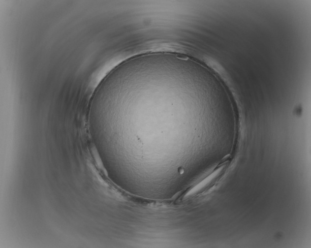 X0000110971089200907022239