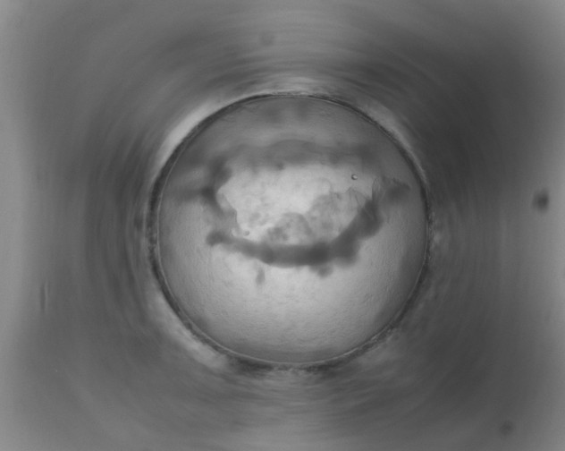 X0000110971091200907022239