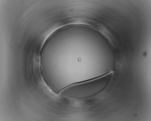 X0000110971092200907022239