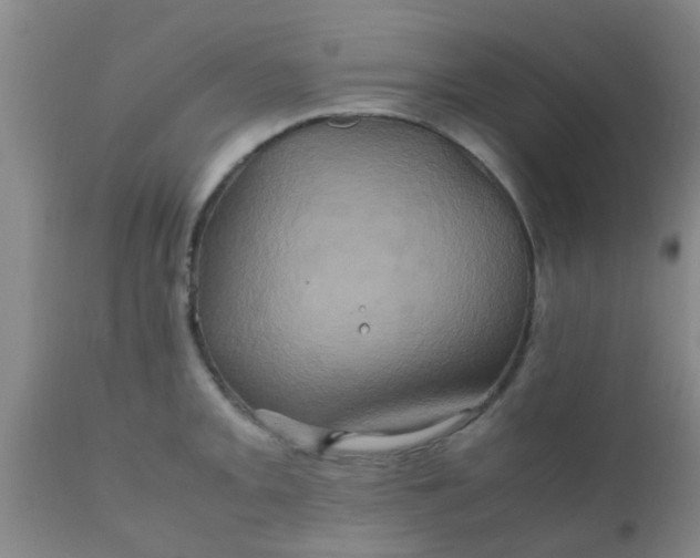 X0000110971093200907022239