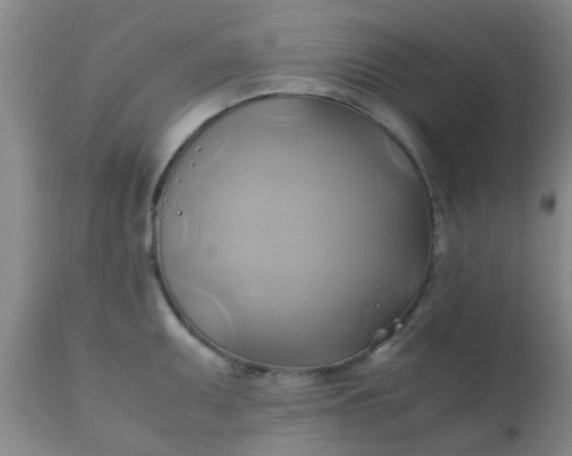 X0000110971095200907022239