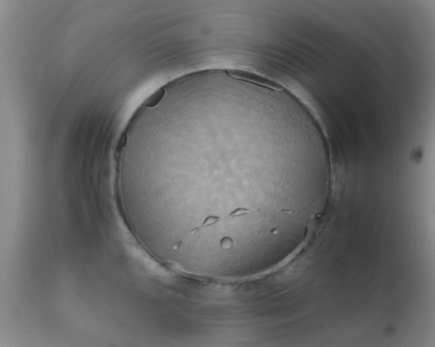 X0000110971096200907022239