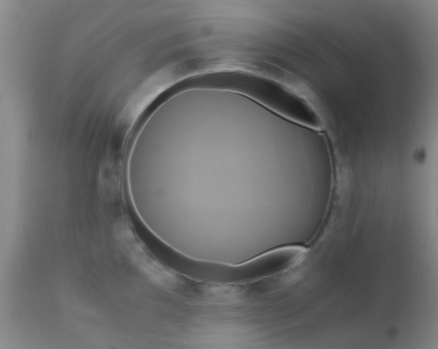 X0000110971097200907022239