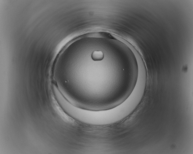 X0000110971098200907022239