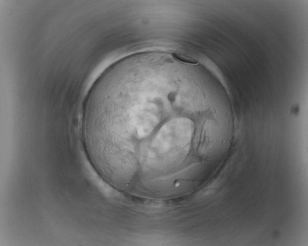 X0000110971099200907022239