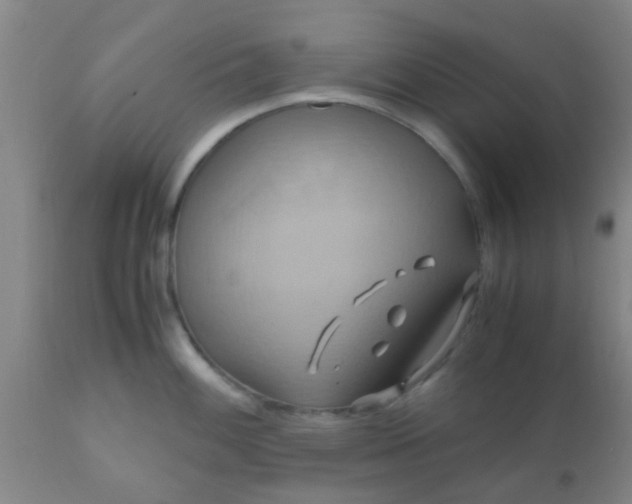 X0000110971100200907022239