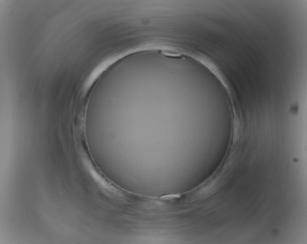 X0000110971101200907022239