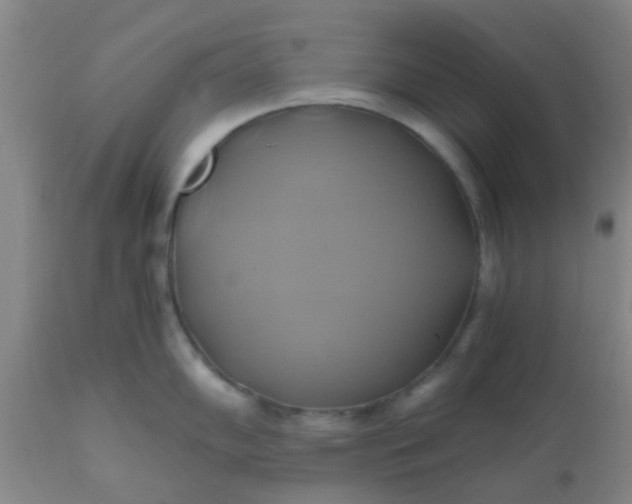 X0000110971102200907022239