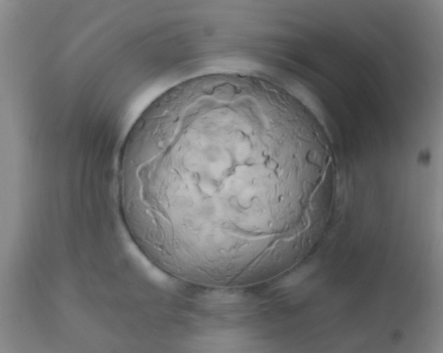 X0000110971103200907022239