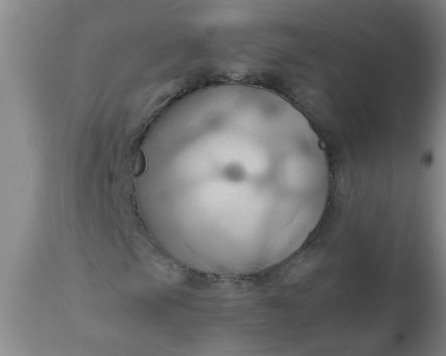 X0000110971105200907022238