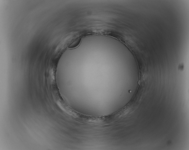 X0000110971106200907022238