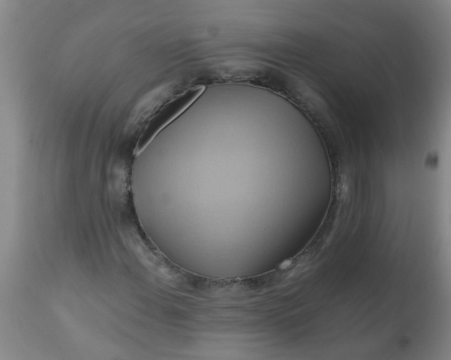 X0000110971108200907022238