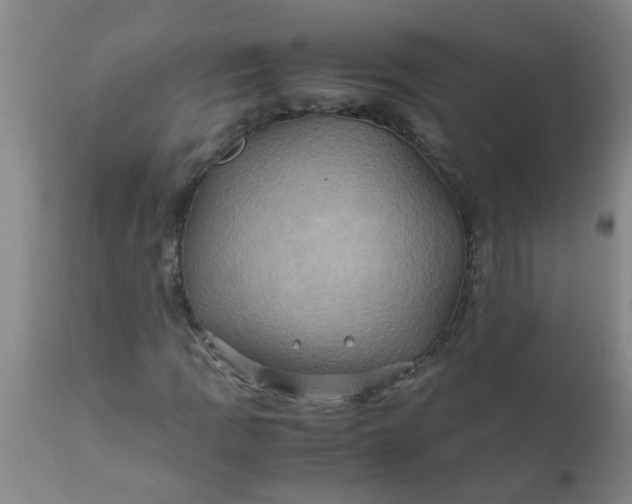 X0000110971109200907022238