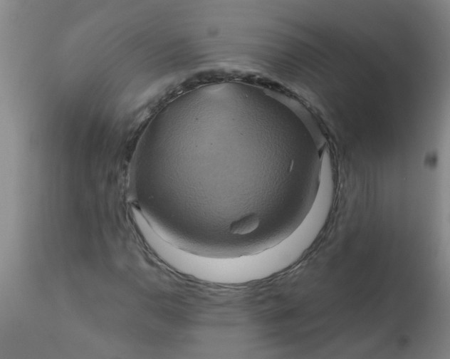 X0000110971110200907022238