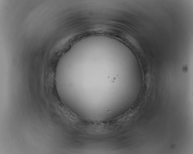 X0000110971111200907022238