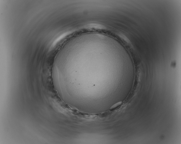 X0000110971112200907022238