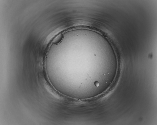 X0000110971113200907022238