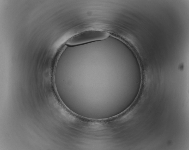 X0000110971114200907022238