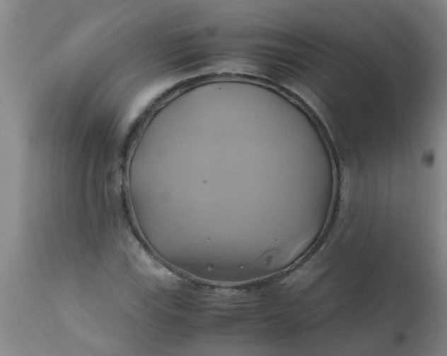 X0000110971115200907022238