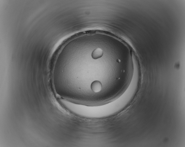 X0000110971116200907022238