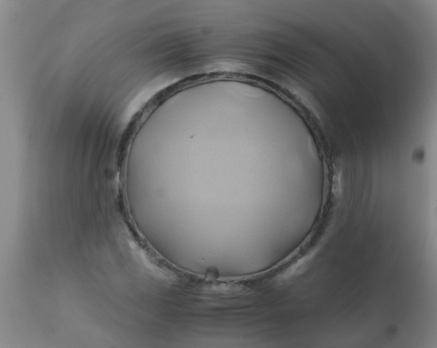 X0000110971117200907022238