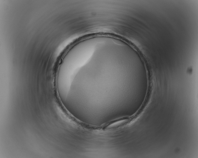 X0000110971118200907022238