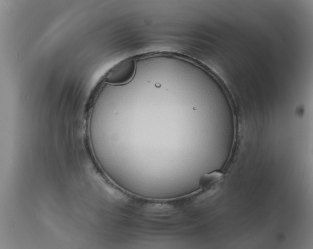 X0000110971119200907022238