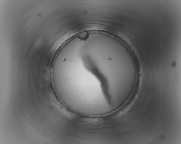 X0000110971121200907022238