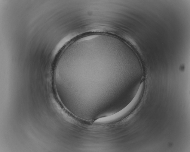 X0000110971122200907022238