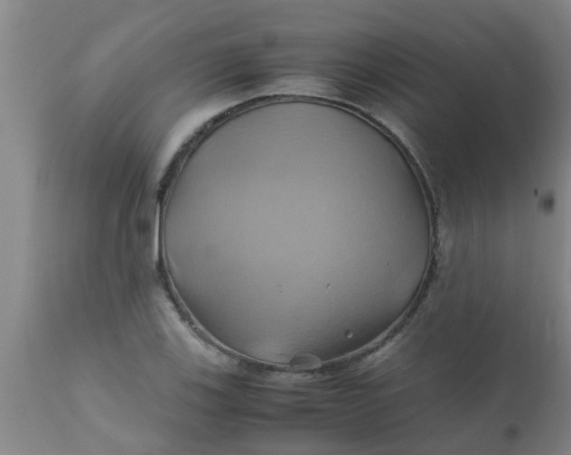 X0000110971123200907022238