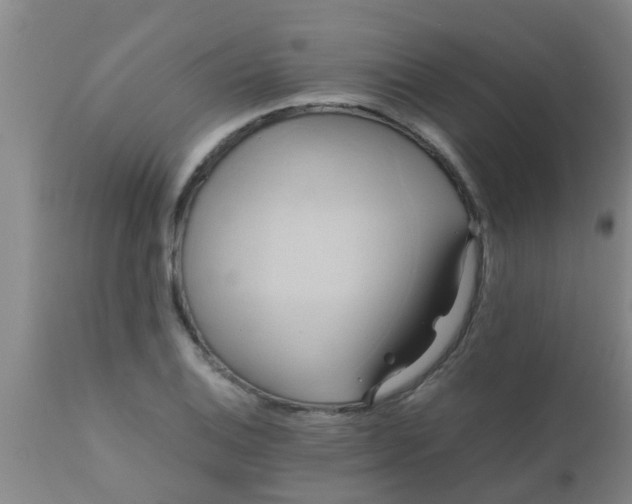 X0000110971124200907022238