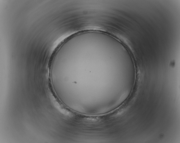 X0000110971125200907022238