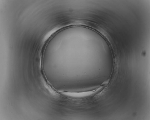 X0000110971127200907022238