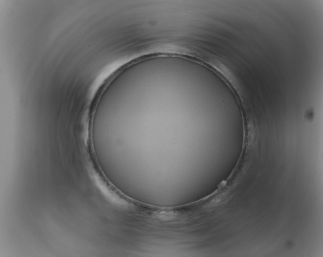 X0000110971128200907022238