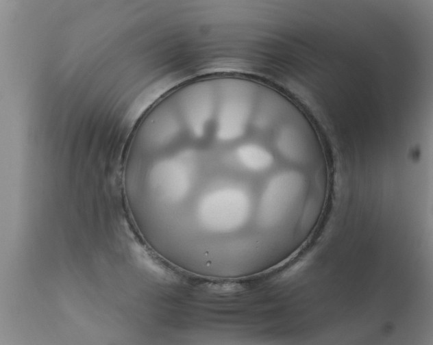 X0000110971129200907022238