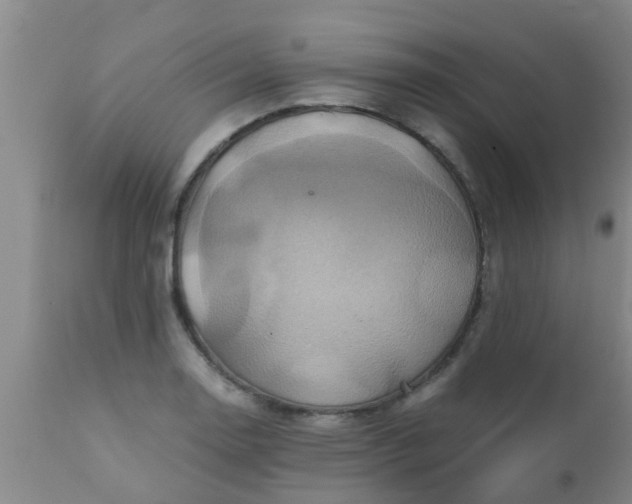 X0000110971130200907022238