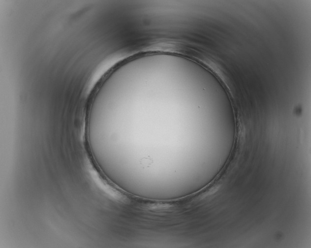 X0000110971131200907022238