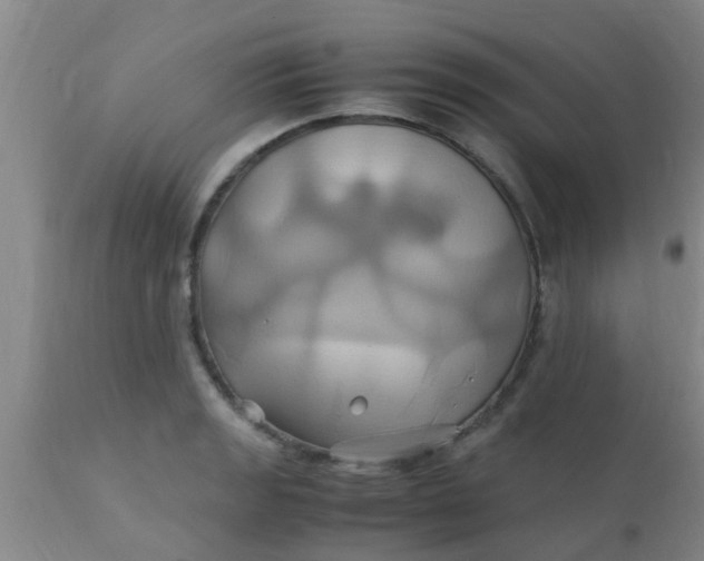 X0000110971133200907022238