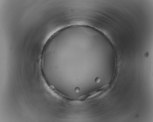 X0000110971134200907022238